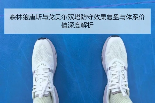 森林狼唐斯与戈贝尔双塔防守效果复盘与体系价值深度解析（kaiyun）