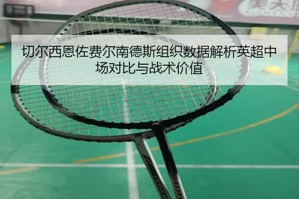 切尔西恩佐费尔南德斯组织数据解析英超中场对比与战术价值（kaiyun）