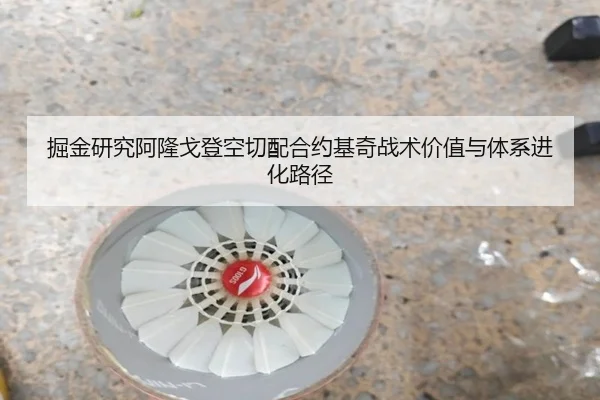 掘金研究阿隆戈登空切配合约基奇战术价值与体系进化路径（kaiyun）