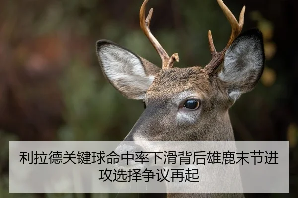 利拉德关键球命中率下滑背后雄鹿末节进攻选择争议再起 | kaiyun